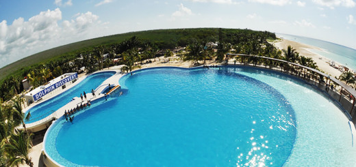 swim with dolphins playa del carmen