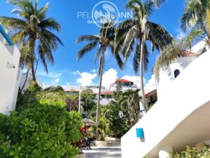 The Pelicano Inn Playa del Carmen